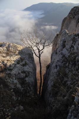 Прикрепленное изображение: clipboard_image_a9932a8.jpg